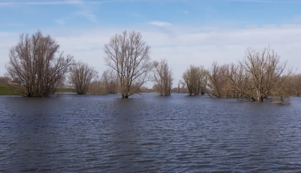 Plas langs de Dijk in Beuningen