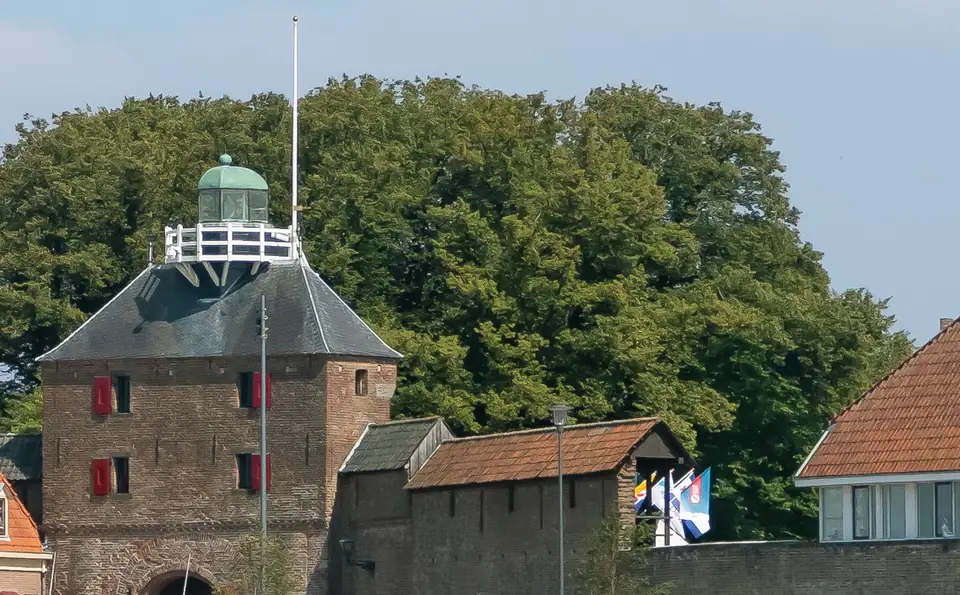De Vischpoort en daken in Harderwijk
