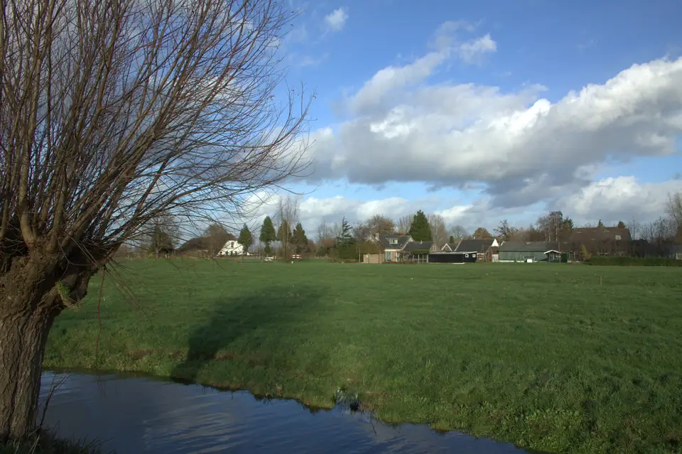 Huizen aan de Wielsekade in Lopik achter een weiland