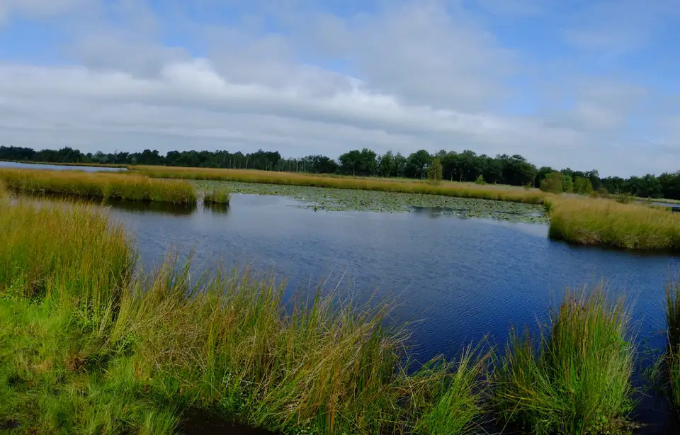 Het Kogelvangersven in de Oisterwijkse vennen